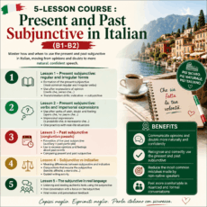 5-lesson course - Present & past subjunctive (B1-B2)