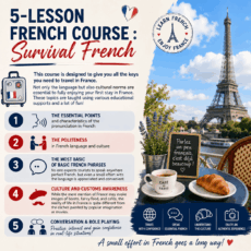 5-lesson course - Survival French     (A1-A2)